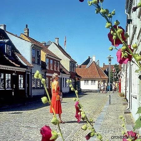 Naesbylund 오덴세